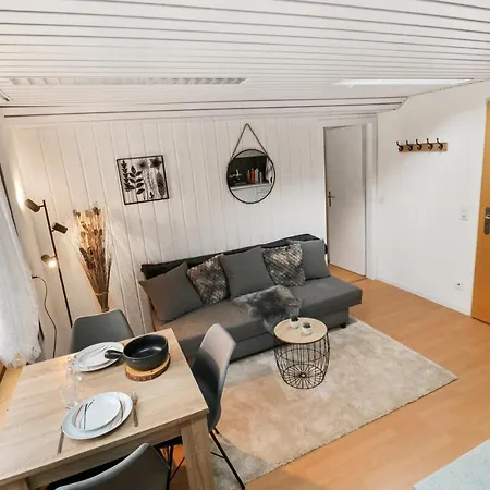 Confortable Avec Un Sauna Apartment