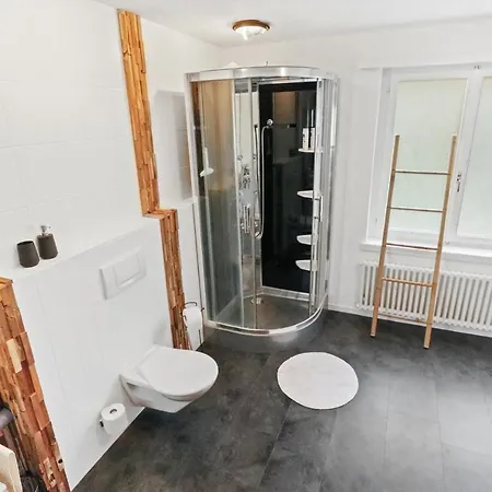 Confortable Avec Un Sauna Apartment