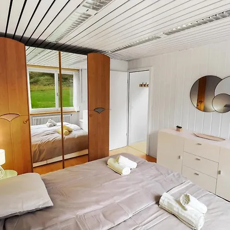 Confortable Avec Un Sauna