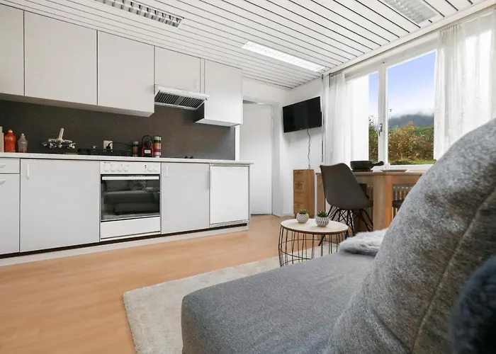 Confortable Avec Un Sauna Appartement